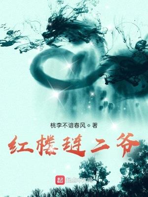红楼琏二爷封面